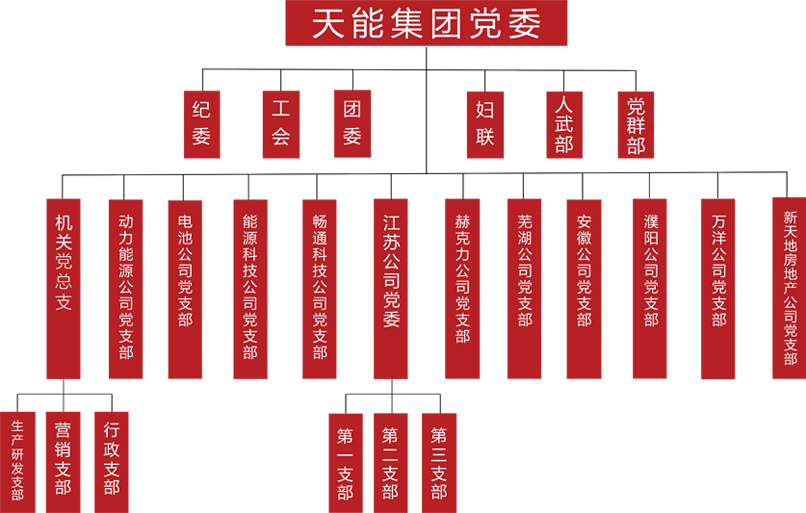 乐玩lewin建团党委组织架构